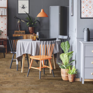 Grey retro dining room interior Oak Old